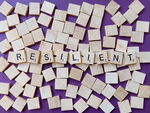 Qué significa resiliencia